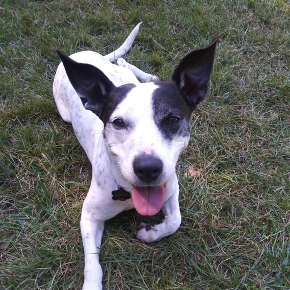 Meet your Posher, Greg - Picture 1 of 1